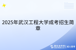 2025年武漢工程大學成考招生簡章