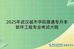 2025年武漢城市學(xué)院普通專升本軟件工程專業(yè)考試大綱