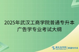 2025年武漢工商學(xué)院普通專升本廣告學(xué)專業(yè)考試大綱