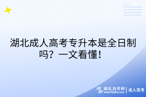 湖北成人高考專升本是全日制嗎？一文看懂！