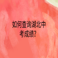 如何查詢湖北中考成績？
