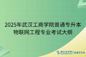 2025年武漢工商學(xué)院普通專升本物聯(lián)網(wǎng)工程專業(yè)考試大綱