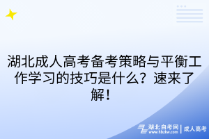 湖北成人高考備考策略與平衡工作學習的技巧是什么？速來了解！