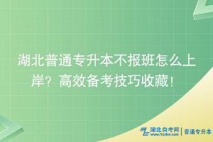 湖北普通專升本不報班怎么上岸？高效備考技巧收藏！