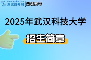 2025年武漢科技大學(xué)藝術(shù)類專業(yè)招生簡章