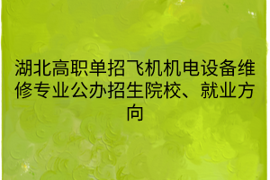湖北高職單招飛機機電設(shè)備維修專業(yè)公辦招生院校、就業(yè)方向