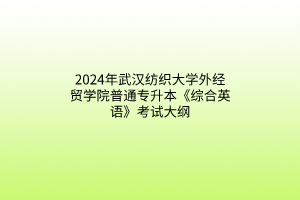 2024年武漢紡織大學(xué)外經(jīng)貿(mào)學(xué)院普通專升本《綜合英語》考試大綱