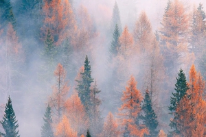 2016年武漢紡織大學(xué)專升本財務(wù)管理專業(yè)錄取分數(shù)線