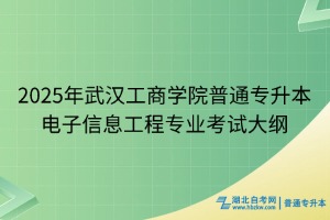 2025年武漢工商學(xué)院普通專升本電子信息工程專業(yè)考試大綱