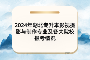 2024年湖北專升本影視攝影與制作專業(yè)及各大院校報(bào)考情況