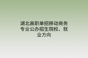 湖北高職單招移動(dòng)商務(wù)專業(yè)公辦招生院校、就業(yè)方向