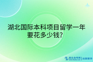 湖北國際本科項目留學一年要花多少錢？