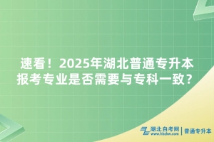 速看！2025年湖北普通專升本報考專業(yè)是否需要與專科一致？
