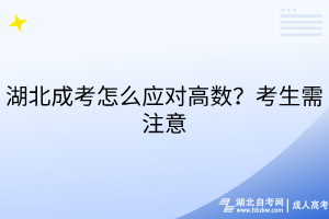 湖北成考怎么應(yīng)對高數(shù)？考生需注意