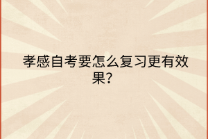 孝感自考要怎么復(fù)習(xí)更有效果？
