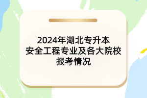 2024年湖北專升本安全工程專業(yè)及各大院校報(bào)考情況