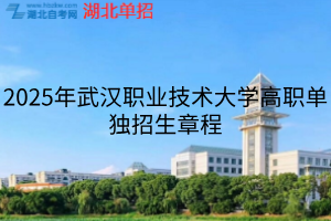 2025年武漢職業(yè)技術大學高職單獨招生章程