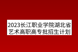 2023長江職業(yè)學院湖北省藝術(shù)高職高專批招生計劃