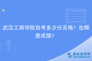 武漢工商學(xué)院自考多少分及格？在哪查成績？