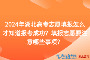 2024年湖北高考志愿填報(bào)怎么才知道報(bào)考成功？填報(bào)志愿要注意哪些事項(xiàng)？
