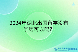 2024年湖北出國留學(xué)沒有學(xué)歷可以嗎？