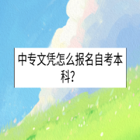 中專文憑怎么報名自考本科？
