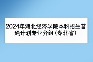2024年湖北經(jīng)濟(jì)學(xué)院本科招生普通計(jì)劃專業(yè)分組（湖北省）