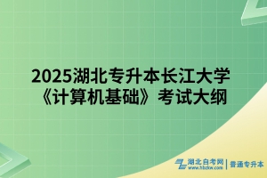 2025湖北專升本長江大學(xué)《計(jì)算機(jī)基礎(chǔ)》考試大綱