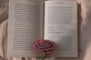 該怎么調(diào)整復(fù)習(xí)湖北專升本的心態(tài)？