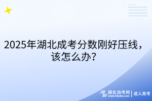 2025年湖北成考分?jǐn)?shù)剛好壓線，該怎么辦？