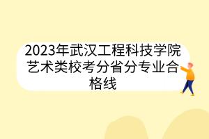 2023年武漢工程科技學(xué)院藝術(shù)類校考分省分專業(yè)合格線