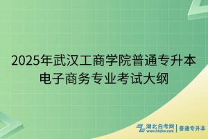 2025年武漢工商學(xué)院普通專升本電子商務(wù)專業(yè)考試大綱