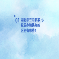 湖北中專中職學(xué)校公辦學(xué)校和民辦學(xué)校的有哪些區(qū)別？
