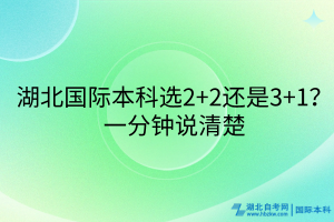 湖北國際本科選2+2還是3+1？一分鐘說清楚
