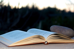 2019年湖北中醫(yī)藥大學(xué)普通專升本招生簡章：招生專業(yè)及報(bào)名流程