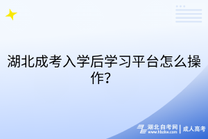 湖北成考入學(xué)后學(xué)習(xí)平臺怎么操作？