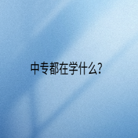 中專都在學(xué)什么？