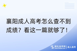 襄陽成人高考怎么查不到成績？看這一篇就夠了！