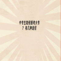 中專生如何報考大專有幾種途徑?