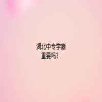 湖北中專學(xué)籍重要嗎？
