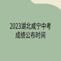 2023湖北咸寧中考成績公布時間