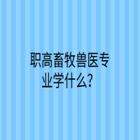 職高畜牧獸醫(yī)專業(yè)學(xué)什么？