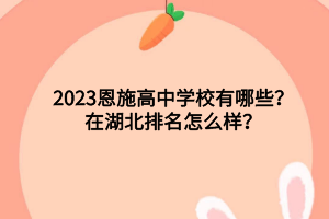 2023恩施高中學(xué)校有哪些？在湖北排名怎么樣？