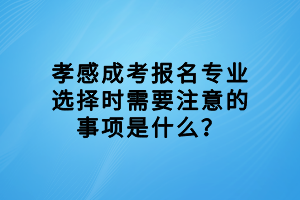 孝感成考報(bào)名專業(yè)選擇時(shí)需要注意的事項(xiàng)是什么? 孝感成考報(bào)名專業(yè)選擇時(shí)需要注意的事項(xiàng)是什么?