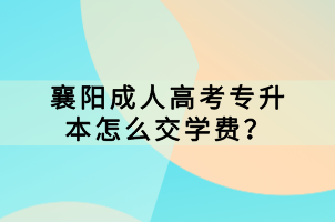 襄陽成人高考專升本怎么交學費？
