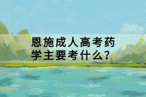 恩施成人高考藥學(xué)主要考什么? 恩施成人高考藥學(xué)主要考什么?