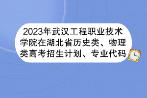 2023年武漢工程職業(yè)技術(shù)學(xué)院在湖北省歷史類、物理類高考招生計劃、專業(yè)代碼 2023年武漢工程職業(yè)技術(shù)學(xué)院在湖北省歷史類、物理類高考招生計劃、專業(yè)代碼