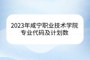 2023年咸寧職業(yè)技術學院專業(yè)代碼及計劃數(shù)