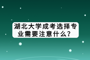 湖北大學(xué)成考選擇專業(yè)需要注意什么? 湖北大學(xué)成考選擇專業(yè)需要注意什么?