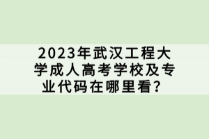 2023年武漢工程大學(xué)成人高考學(xué)校及專業(yè)代碼在哪里看? 2023年武漢工程大學(xué)成人高考學(xué)校及專業(yè)代碼在哪里看?